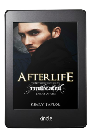 Afterlife : A Fall of Angels Novelette
