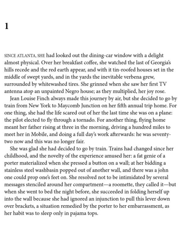 Go Set A Watchman - Image 5