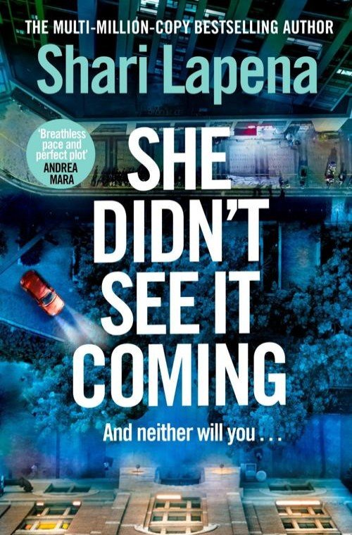 She Didn't See It Coming - Shari Lapena