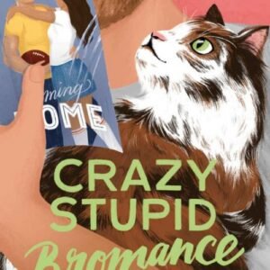 Crazy Stupid Bromance (Bromance Book Club Book 3) - Lyssa Kay Adams