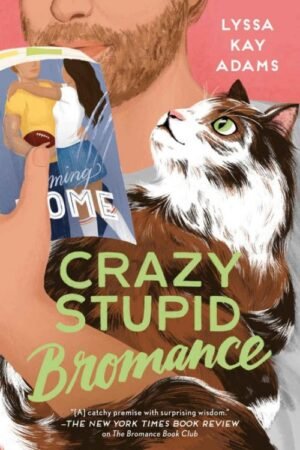 Crazy Stupid Bromance (Bromance Book Club Book 3) - Lyssa Kay Adams