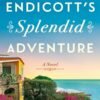 Mrs. Endicott's Splendid Adventure - Rhys Bowen
