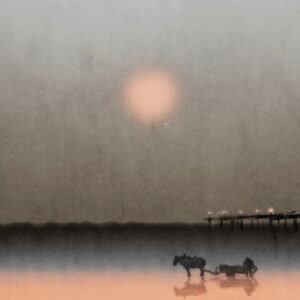 Seascraper - Benjamin Wood